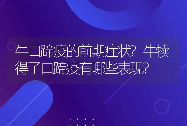 牛口蹄疫的前期症状?牛犊得了口蹄疫有哪些表现? | 兽医知识大全