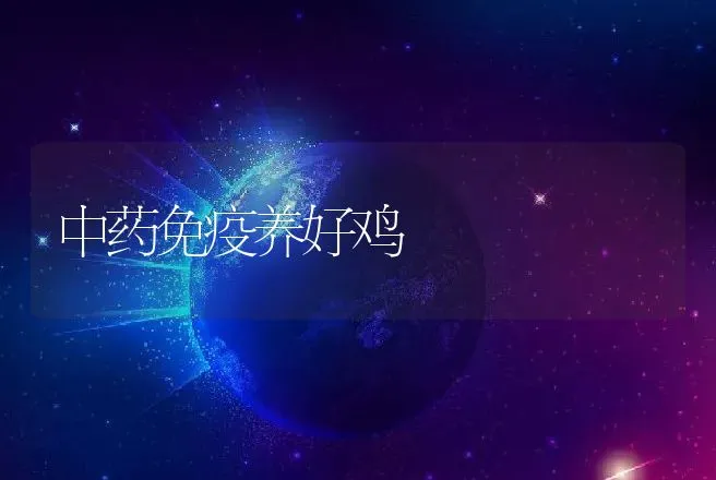 中药免疫养好鸡 | 动物养殖