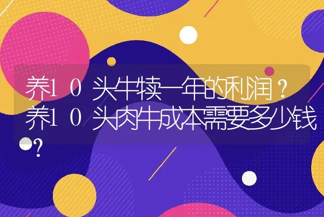 养10头牛犊一年的利润？养10头肉牛成本需要多少钱？ | 养殖致富