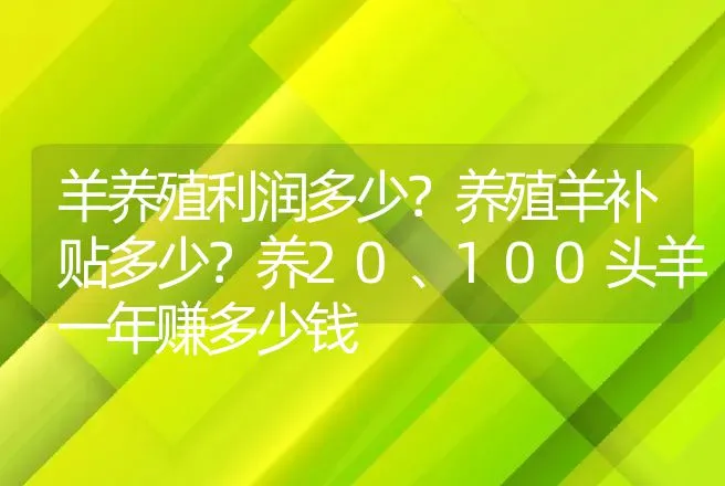 羊养殖利润多少？养殖羊补贴多少？养20、100头羊一年赚多少钱 | 养殖致富