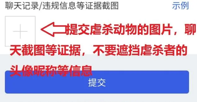 上海首例养犬人遗弃犬被罚款500元 腾讯开通举报虐杀动物频道 | 宠物新闻资讯