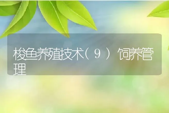 梭鱼养殖技术(9)饲养管理 | 动物养殖