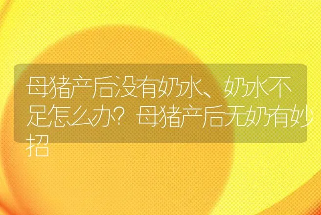 母猪产后没有奶水、奶水不足怎么办？母猪产后无奶有妙招 | 兽医知识大全