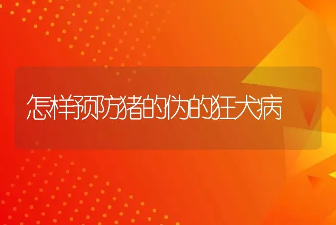 怎样预防猪的伪的狂犬病 | 动物养殖