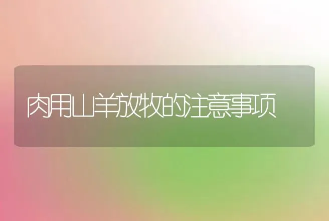 肉用山羊放牧的注意事项 | 动物养殖