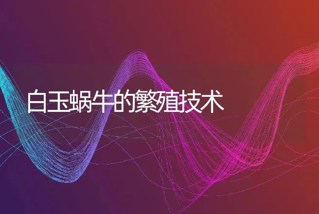 白玉蜗牛的繁殖技术 | 特种养殖