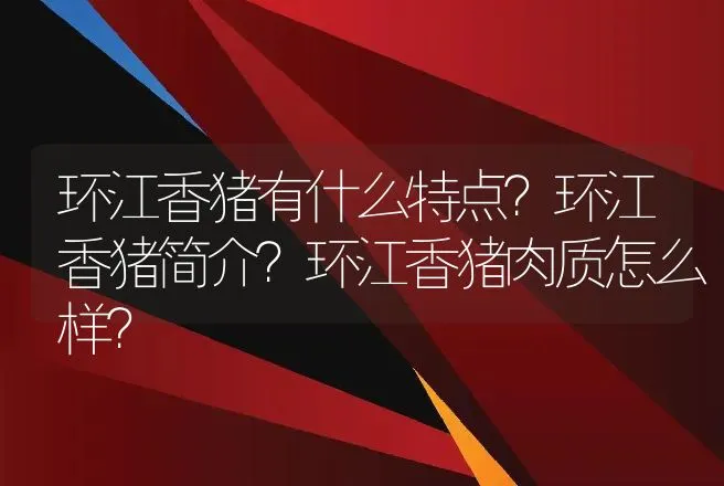 环江香猪有什么特点？环江香猪简介？环江香猪肉质怎么样？ | 动物养殖