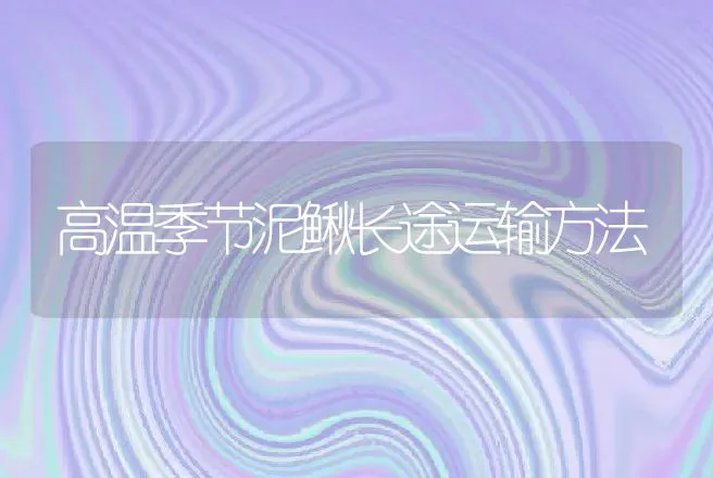 高温季节泥鳅长途运输方法 | 动物养殖