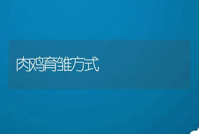 狗春季饲养应"两抓一管" | 动物养殖