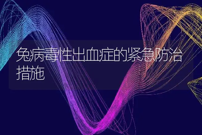 兔病毒性出血症的紧急防治措施 | 动物养殖