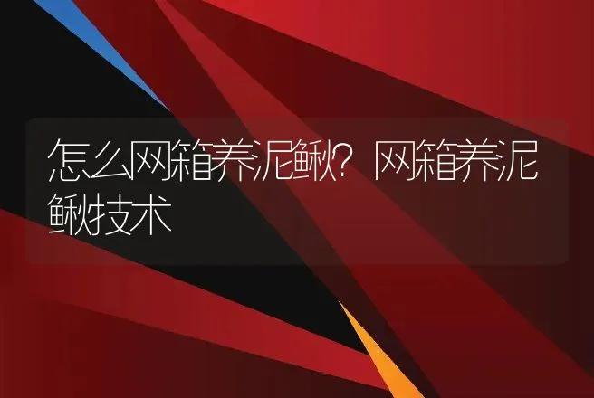 怎么网箱养泥鳅？网箱养泥鳅技术 | 家禽养殖