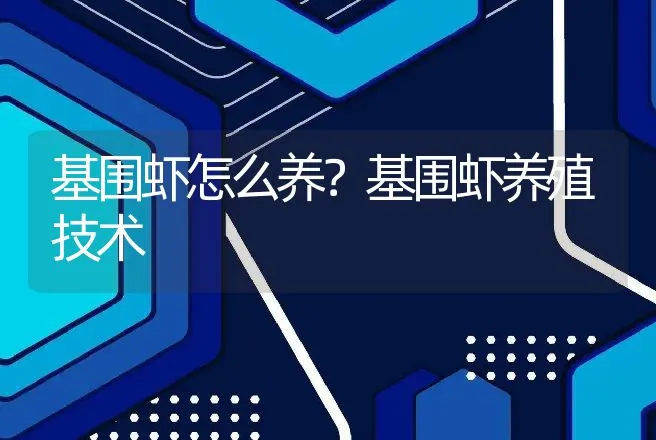 基围虾怎么养？基围虾养殖技术 | 水产知识