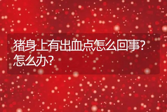 猪身上有出血点怎么回事？怎么办？ | 兽医知识大全