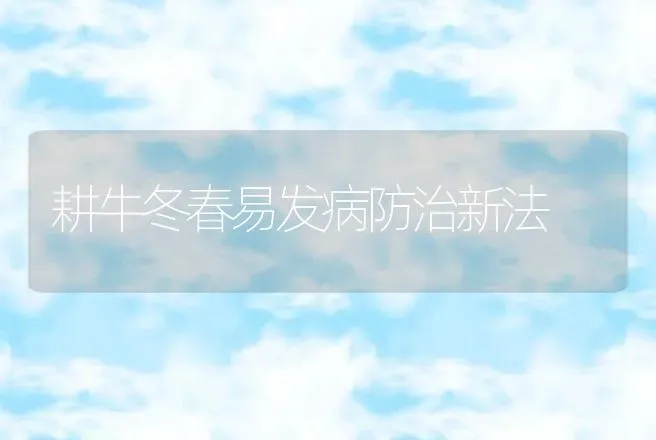 耕牛冬春易发病防治新法 | 动物养殖