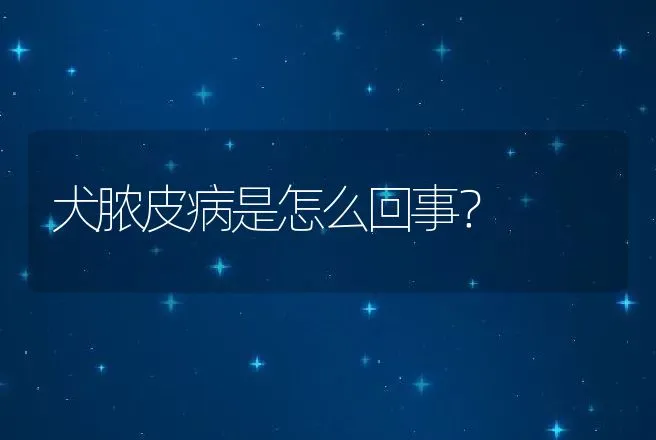 犬脓皮病是怎么回事？ | 动物养殖