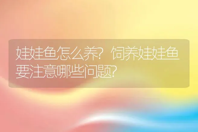 娃娃鱼怎么养?饲养娃娃鱼要注意哪些问题? | 水产知识