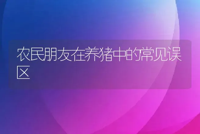 农民朋友在养猪中的常见误区 | 动物养殖