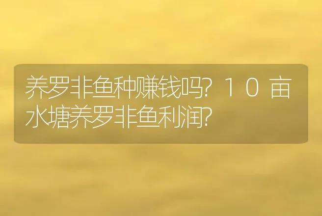 养罗非鱼种赚钱吗?10亩水塘养罗非鱼利润? | 养殖致富