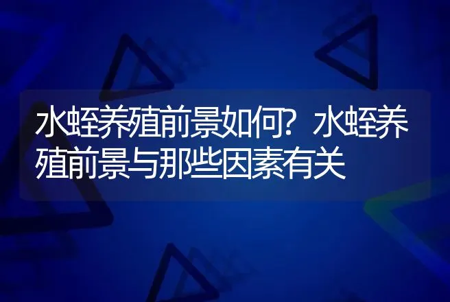 水蛭养殖前景如何?水蛭养殖前景与那些因素有关 | 养殖致富