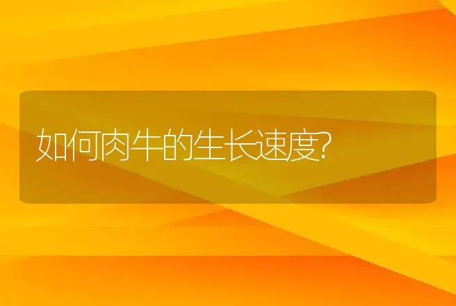 如何肉牛的生长速度? | 家畜养殖