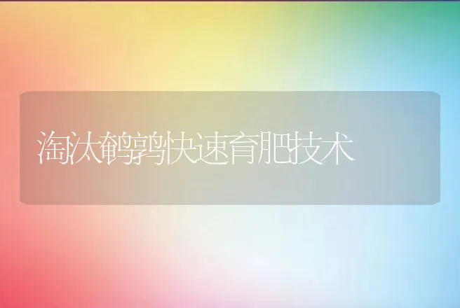 淘汰鹌鹑快速育肥技术 | 动物养殖