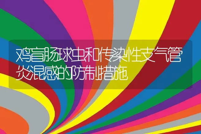 鸡盲肠球虫和传染性支气管炎混感的防制措施 | 动物养殖