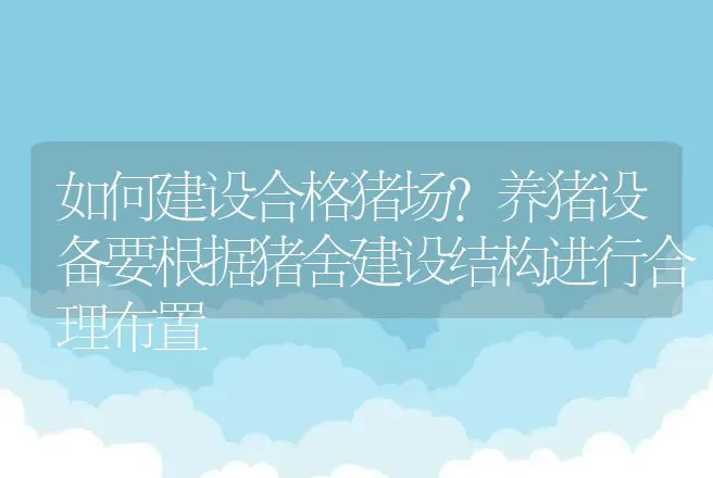 如何建设合格猪场？养猪设备要根据猪舍建设结构进行合理布置 | 家畜养殖