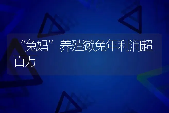 秋季蛋鸡如何产蛋率？看这些管理要点！ | 家禽养殖