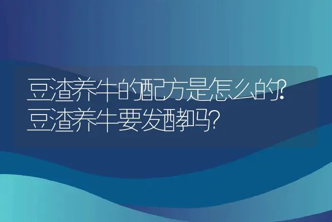 豆渣养牛的配方是怎么的?豆渣养牛要发酵吗？ | 家畜养殖