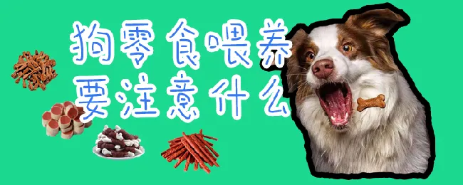 狗零食喂养要注意什么 | 宠物病虫害防治