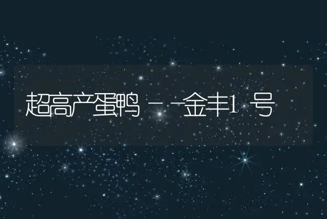 超高产蛋鸭――金丰1号 | 动物养殖