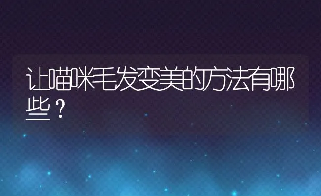 让喵咪毛发变美的方法有哪些？ | 宠物喂养