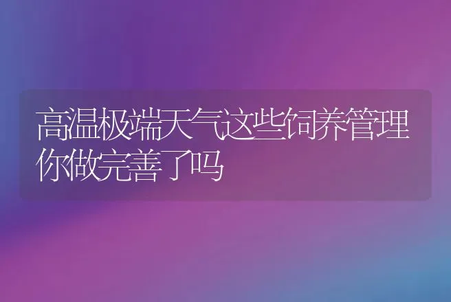 高温极端天气这些饲养管理你做完善了吗 | 家禽养殖