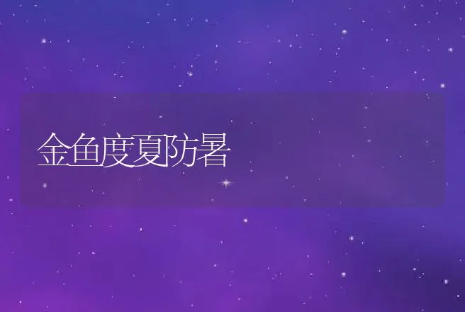 金鱼度夏防暑 | 动物养殖