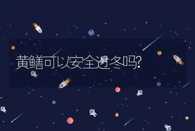 黄鳝可以安全过冬吗? | 动物养殖