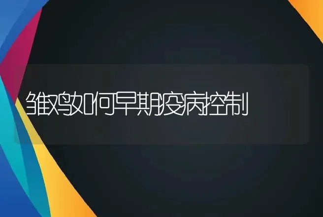 雏鸡如何早期疫病控制 | 动物养殖