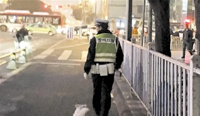 一只流浪狗和一位辅警的故事温暖蓉城冬夜 | 宠物新闻资讯