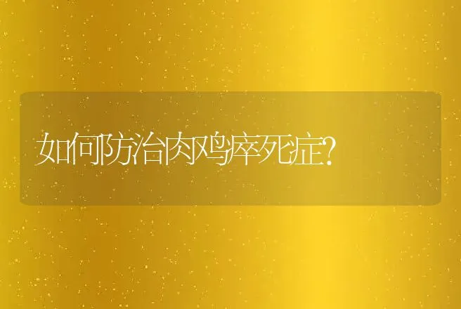 如何防治肉鸡瘁死症？ | 动物养殖