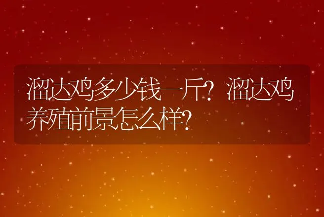 溜达鸡多少钱一斤？溜达鸡养殖前景怎么样？ | 家禽养殖