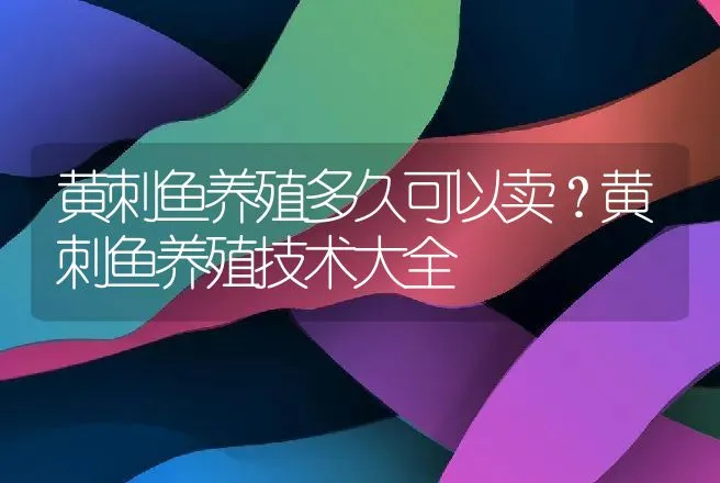 黄刺鱼养殖多久可以卖？黄刺鱼养殖技术大全 | 水产知识