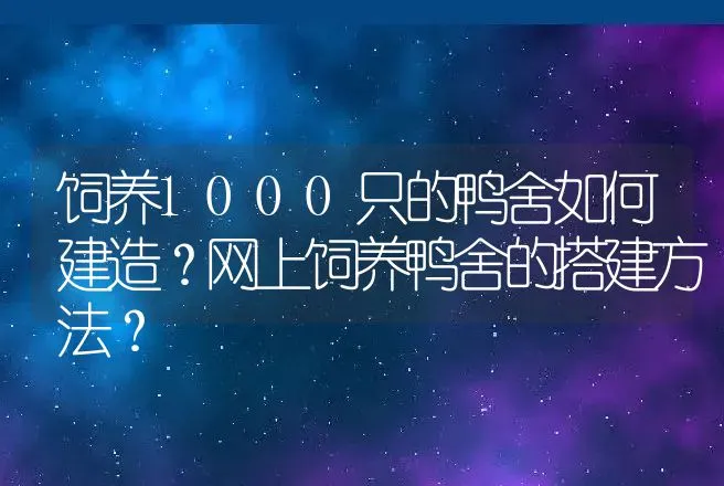 饲养1000只的鸭舍如何建造？网上饲养鸭舍的搭建方法？ | 兽医知识大全