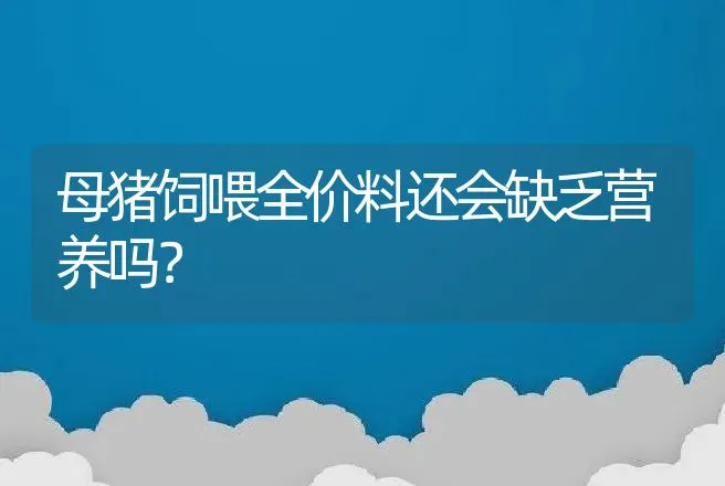 母猪饲喂全价料还会缺乏营养吗？ | 家畜养殖