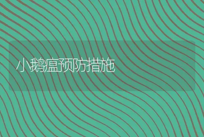 小鹅瘟预防措施 | 动物养殖