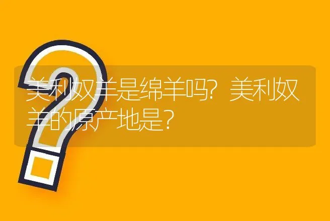 美利奴羊是绵羊吗?美利奴羊的原产地是？ | 动物养殖