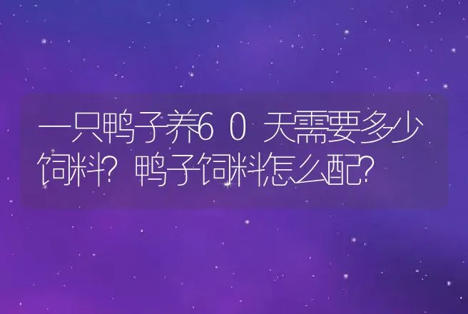 一只鸭子养60天需要多少饲料？鸭子饲料怎么配？ | 家禽养殖