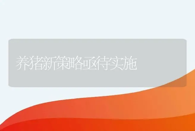 养猪新策略亟待实施 | 动物养殖