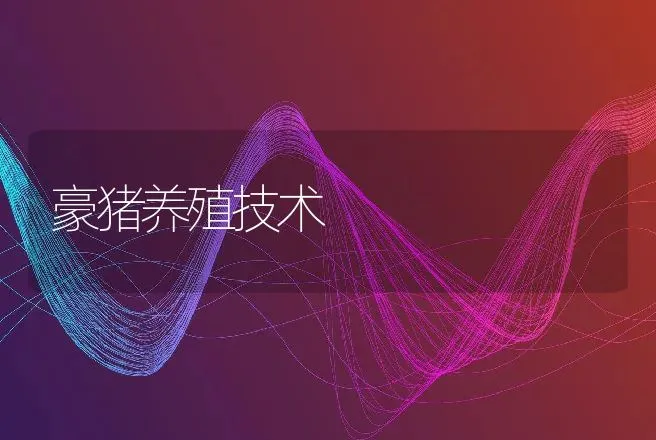 豪猪养殖技术 | 动物养殖