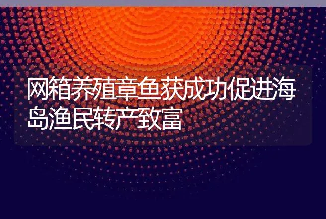 网箱养殖章鱼获成功促进海岛渔民转产致富 | 动物养殖