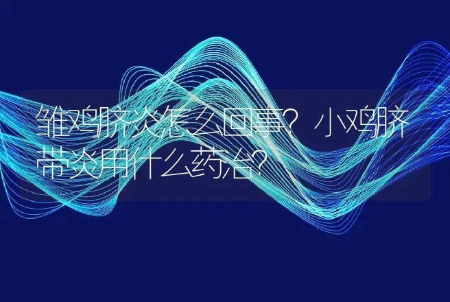 雏鸡脐炎怎么回事？小鸡脐带炎用什么药治？ | 兽医知识大全