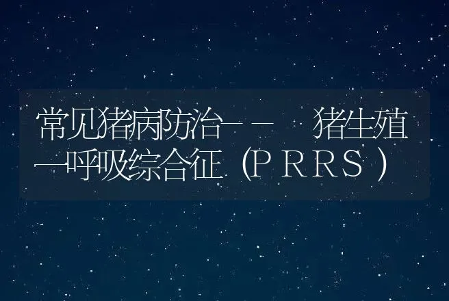 常见猪病防治-- 猪生殖一呼吸综合征（PRRS） | 动物养殖